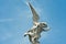 Angel, falling angel on Cemetery La Recoleta in Buenos Aires