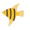 Angel fish yellow on a white background for web design