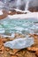 Angel Glacier Jasper National Park