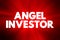 Angel investor - individual who provides capital for a business, usually in exchange for convertible debt or ownership equity,