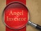 Angel Investor Through a Magnifying Glass