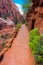 Angel Landing Trail in Zion National Park,Utah