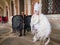 Angel and Lucifer at St. Mark`s Square in Venice, Italy