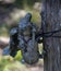 Angel playing the Violin on a wooden post.