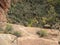 The Angel`s Landing Hiking Path, Zion National Park, Utah