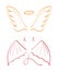 Angel sketch wing set vector. Marker hand drawn style of holy creations. Wing, feathers of bird, swan, eagle