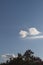 Angel wing cloud shape over trees while covid lockdown, copy space