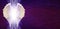 Angel Wings Banner Head on Purple Matrix