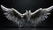 Angel wings isolated on the black background.