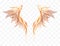 Angel wings vector illustration