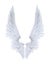 Angel wings, white wing plumage isolated on white