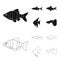 Angelfish, common, barbus, neon.Fish set collection icons in black,outline style vector symbol stock illustration web.