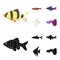 Angelfish, common, barbus, neon.Fish set collection icons in cartoon,black style vector symbol stock illustration web.
