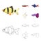 Angelfish, common, barbus, neon.Fish set collection icons in cartoon,outline style vector symbol stock illustration web.