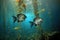 angelfish pair swimming among exotic underwater plants