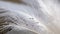 Angelic Feather: A Close-up Macro View of a Soft and Delicate White Bird Feather AI-Generated Image