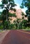 Angels Landing mountain peaking through trees. Mt. Zion National Park, St. George UT