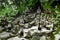 Angels statue in Buddha Magic Garden. Thailand