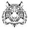 Anger Tiger head design for tribal tattoo