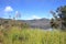 Anggi Giji Lake, Arfak Mountains, Papua