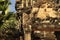 Angkor, Cambodia. temple ruins sculpture detail