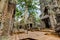 Angkor Wat Cambodia. Ta Prohm Khmer ancient Buddhist temple.