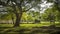 Angkor wat gardens