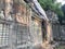 Angkor Wat in Siem Reap, Cambodia. Ancient ruins of Khmer stone temple overgrown with the roots and giant strangler fig trees