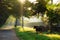 Angkor Wat Temple Complex, Siem Reap, Cambodia. Lonely horse on the lawn in morning mist.