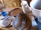 Angled still life with retro blue and white metal cookware