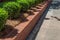 Angled view of new red brick retaining wall lined with boxwoods bordering a residential sidewalk