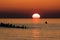 Angler on the Baltic Sea coast