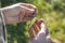 Angler holds fishing rod and spinning bait