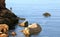 Angler upon the rocks of the Pink Granite Coast in Bretagne