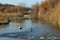 Angler standing in the river and catching fish for a fishing rod.