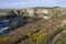 Anglesey Coastline