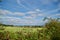 Anglesey landscape over the bushes