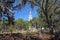 The Anglican parish church of Saint Helena in Beaufort, South Ca