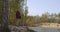 Angling at weekend, middle-aged fisherman is standing on coast of forest river under high trees and relaxing