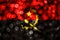 Angola abstract blurry bokeh flag. Christmas, New Year and National day concept flag