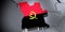 Angola - borders and flag