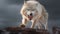Angry Arctic Wolf: Award-winning Wildlife Photography