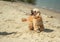 Angry barking dog attack on the beach.