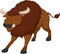 Angry bison cartoon on white background