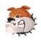 Angry bulldog face in metal collar profile view vector realistic