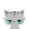 Angry cat cartoon. Cute grumpy cat, vector.