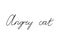 Angry cat handwritten text inscription. Modern hand drawing calligraphy. Word illustration black