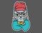 Angry Cat hipster. Cat with glasses, clothes, hat, scarf, and sweater. Flat style sticker for t-shirt, sweatshirt, banner, poster