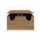 Angry cat in a wooden box