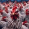 Angry Chicken closeup on a chicken farm. Concept of protesting. Created with generative AI